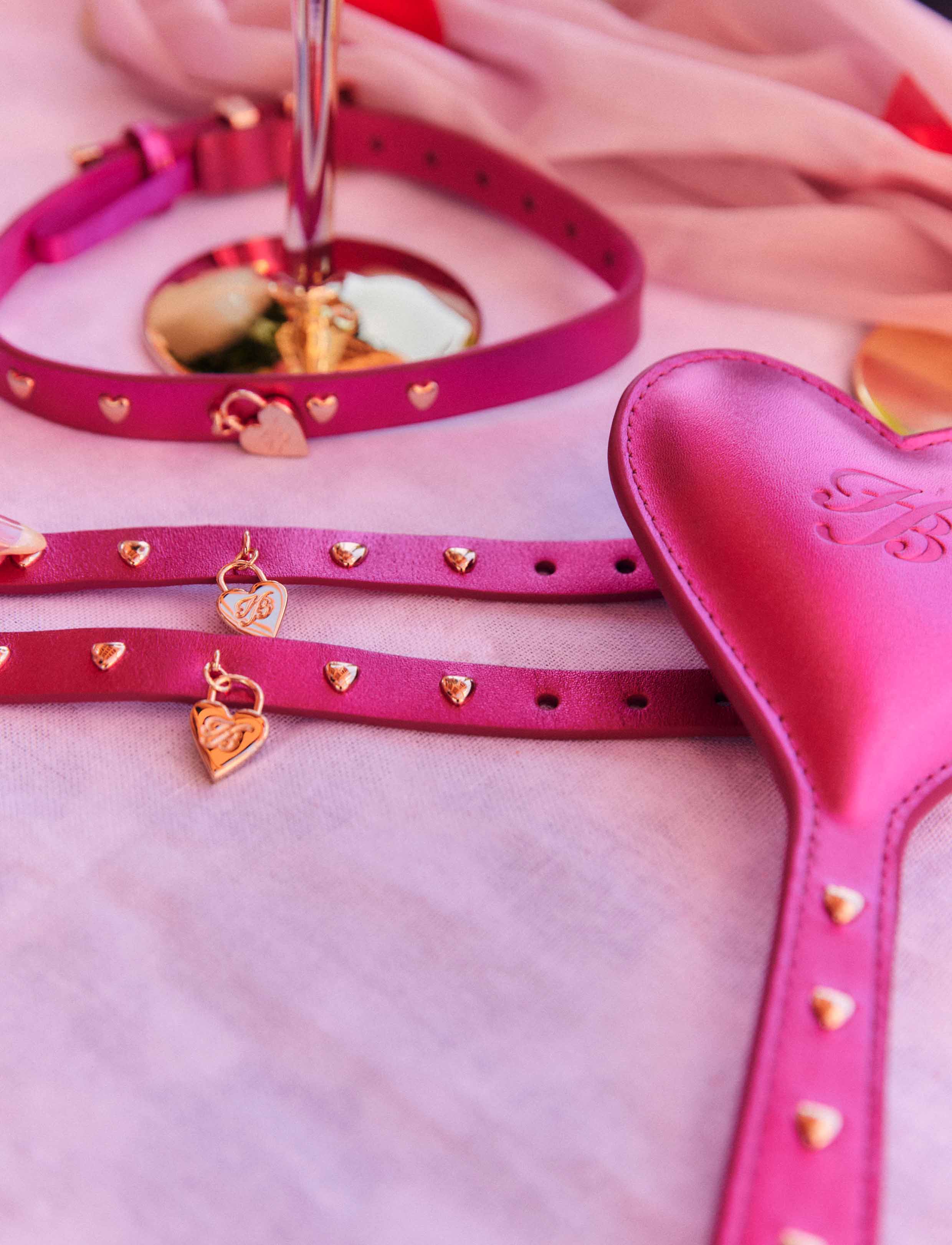 Heart Choker and Bracelets - Image 4